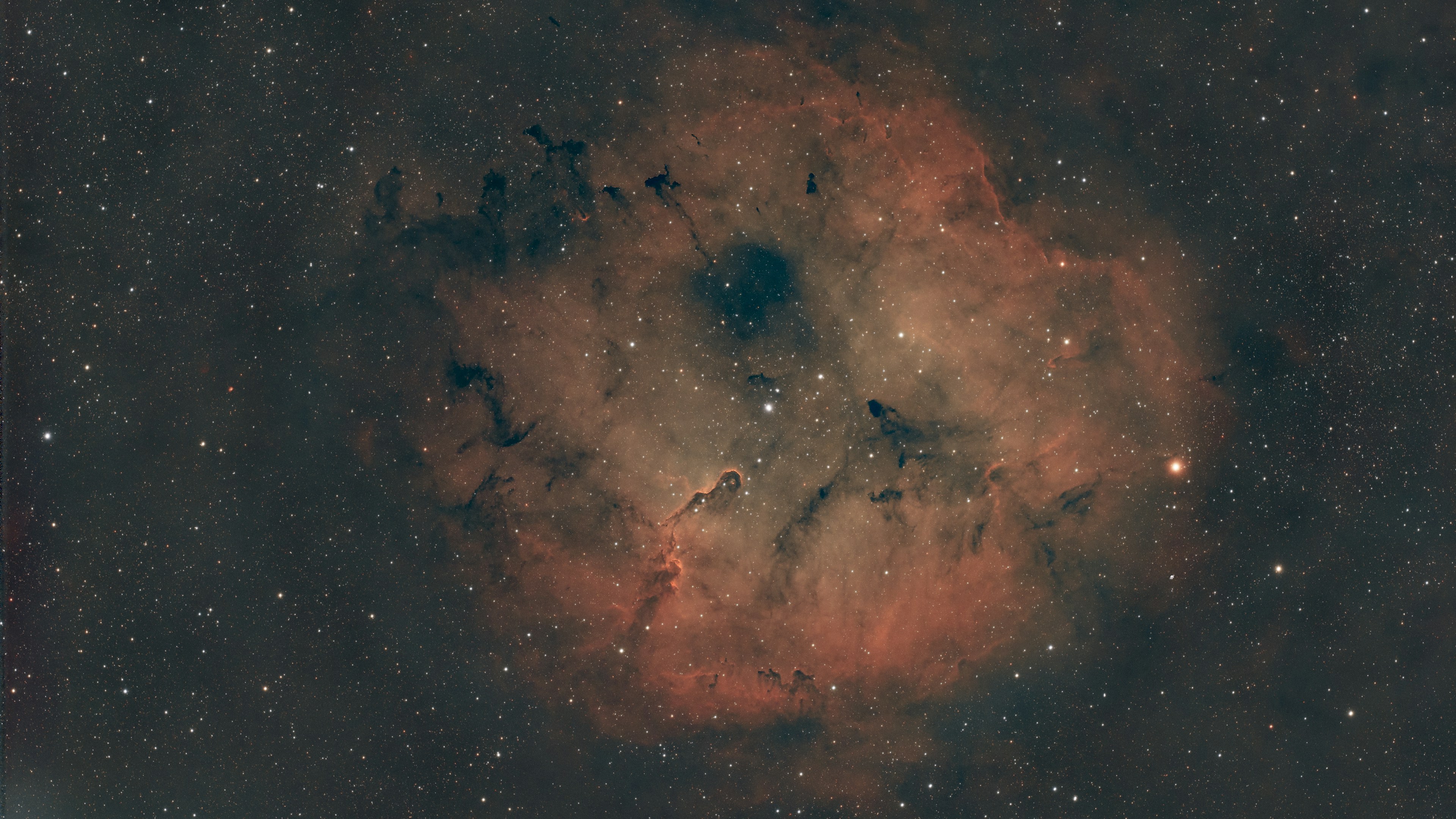 The Elephant Trunk Nebula glowing red amid a dense star field